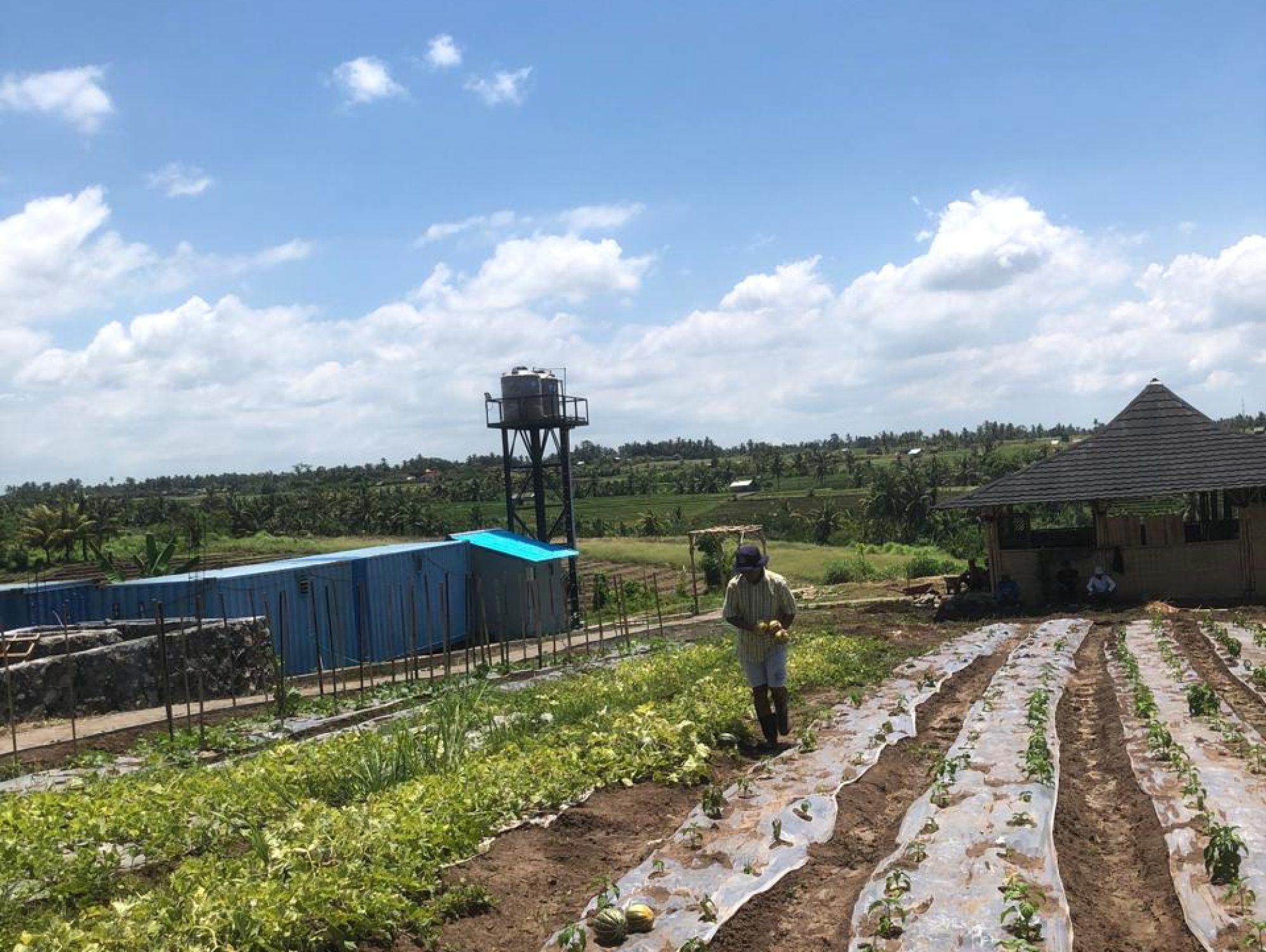 WhatsApp Image 2024-06-11 at 11.22.15